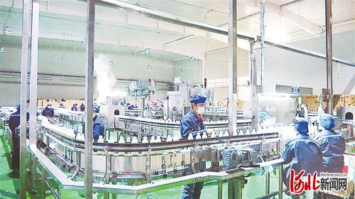 尚义县 燕麦产业联合体 把贫困群众紧密联结在产业链上